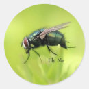Recherche de fly autocollants Insecte