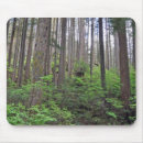 Suche nach regenwald Sommer