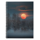 Recherche de sinistre carnets Noir