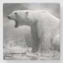 Recherche de chasseur dessous de verres Arctique