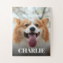 Suche nach niedlicher hund puzzle Haustier