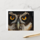 Recherche de yeux cartes postales Photographie de la nature