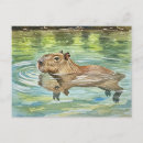 Recherche de swimming cartes postales Nature