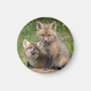 Suche nach schwester liebe magnete Geschwister