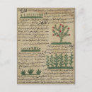 Recherche de texte arabe cartes postales 14e