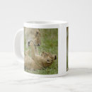 Recherche de mara tasses Chat