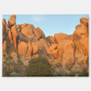 Suche nach joshua tree magnete California