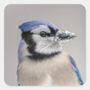 Suche nach schnabel aufkleber Vogelvogel