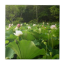Suche nach lotus fliesen Blume
