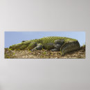 Recherche de très posters Grand