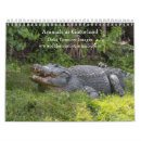 Recherche de alligator bureau fournitures Faune