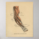 Suche nach vintage medizinische kunst Anatomie