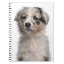 Recherche de berger australien carnets Animaux domestiques