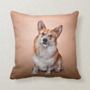 Recherche de corgis coussins Pour eux