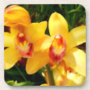 Suche nach orchideen blume untersetzer Gelb