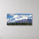 Recherche de le mont mckinley L'alaska