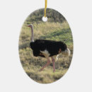 Suche nach sträuße ornamente Tier