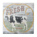 Recherche de vaches carreaux Ferme