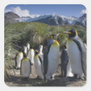 Suche nach ísland aufkleber Himmel