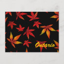 Suche nach ontario postkarten Herbst