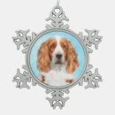 Recherche de espagnol ornements Espagne