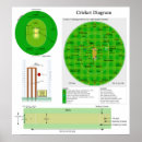 Suche nach wicket poster Cricket