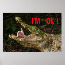 Suche nach croc poster Alligator