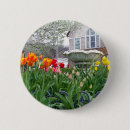 Suche nach tulpen buttons Frühlingsblumen