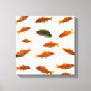 Suche nach goldfisch leinwandbilder Schwimmen