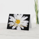 Suche nach feierlichkeit karten Für sie