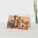 Recherche de désert de chameau vœux cartes Drôle