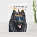 Suche nach belgische schäferhunde Hundeliebhaber