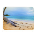 Suche nach karibisch magnete Kühlschrankmagnet