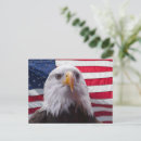 Suche nach amerikanischer adler postkarten Kahladler
