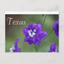 Suche nach lila wildblumen postkarten Natur