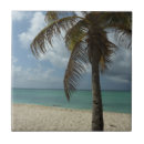 Recherche de belle plage carreaux Tropical