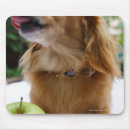 Suche nach nahrung und getränk mousepads Nahaufnahme