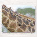 Suche nach südafrika mousepads Giraffe