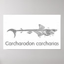 Suche nach vintage anatomie kunst Skelett