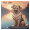 Recherche de berger allemand chien carreaux Animaux domestiques