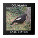 Suche nach colorado fliesen Staat