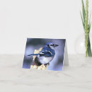 Suche nach birds lovers Nature