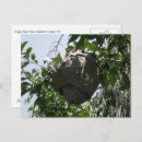 Suche nach grauer himmel postkarten Natur