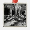 Suche nach angkor ornamente Baum