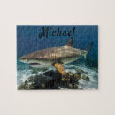 Recherche de requin photographie Photographie de la nature