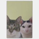 Recherche de visage deux posters Amour