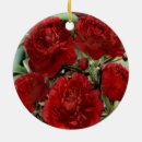 Suche nach nelke ornamente Natur