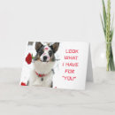 Suche nach wir sind n karten Für ihn