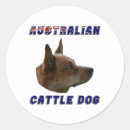 Recherche de chiens de bétail cadeau emballages Amoureux des chiens