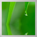 Suche nach water drop poster Green